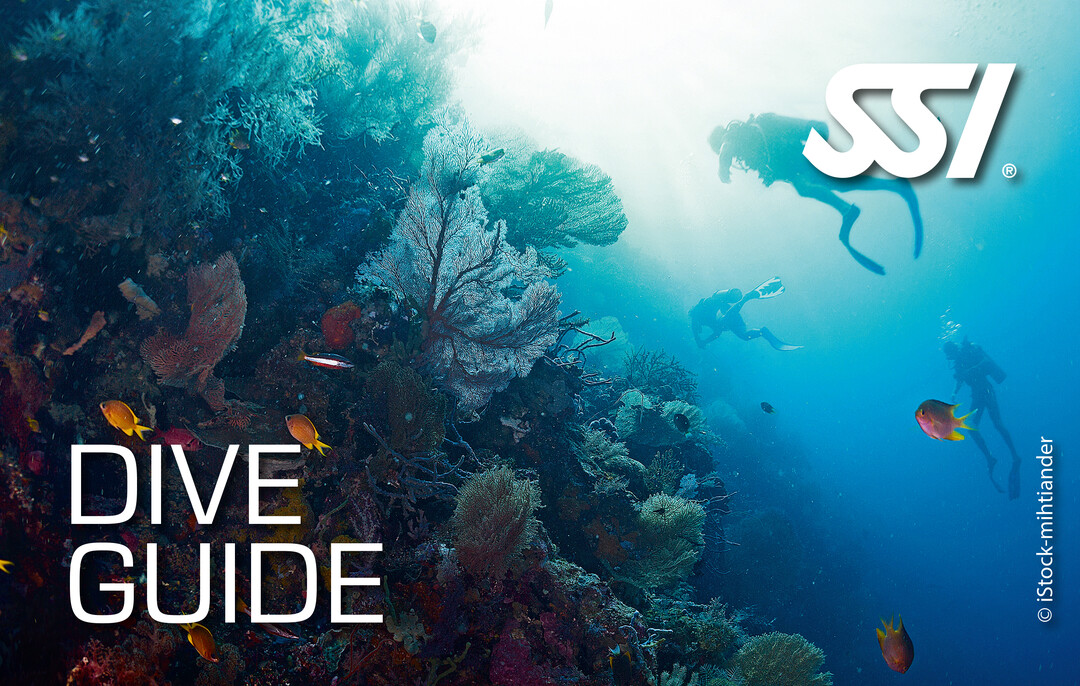 SSI Dive Guide 