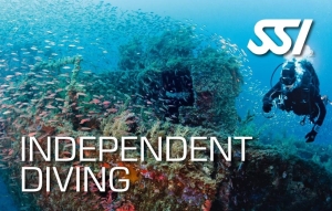 SSI Independend Diver