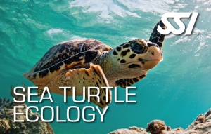 Online SSI Specialty Sea Turtle Ecology